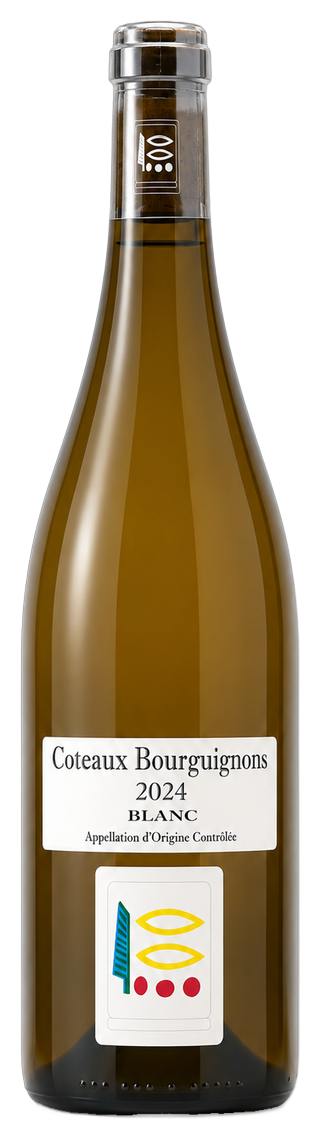 Coteaux Bourguignons Blanc bottle